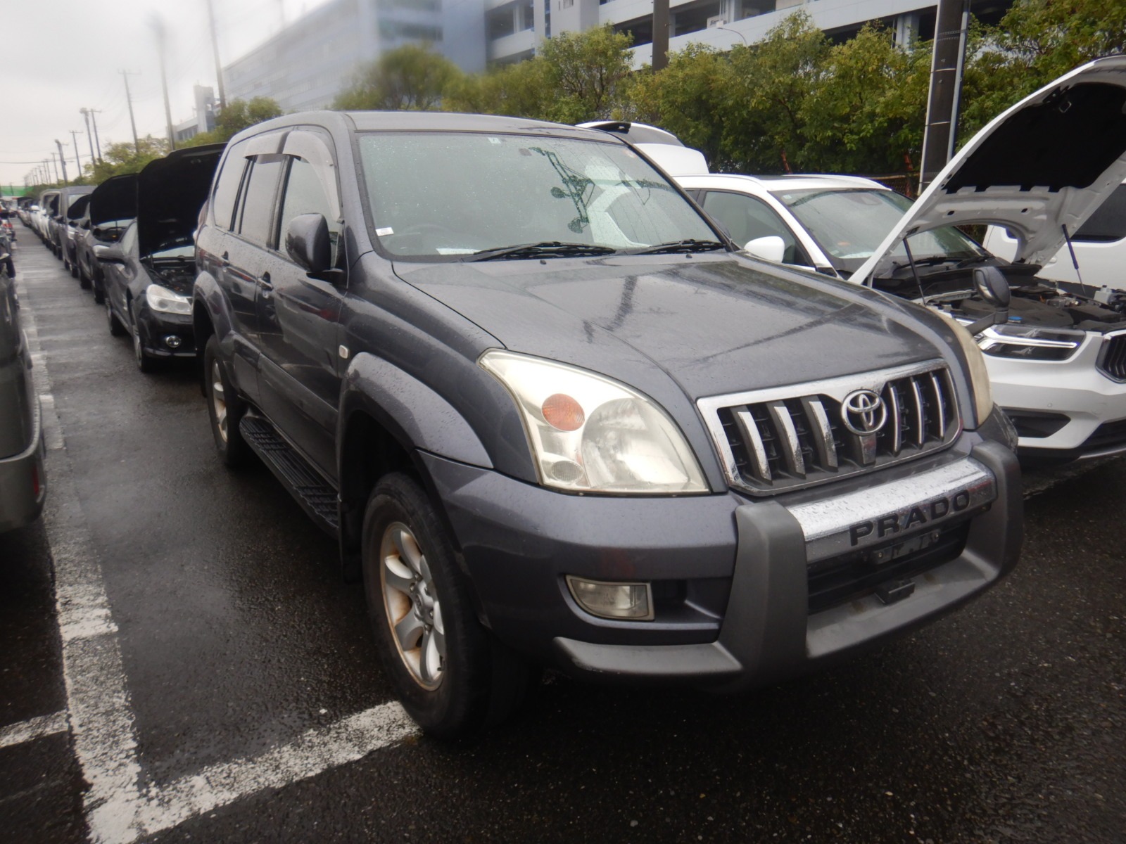 TOYOTA PRADO TJR120